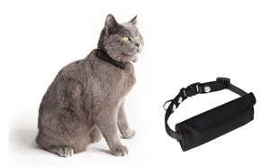 GPS Halsband Katze