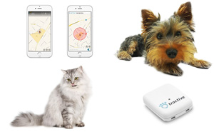 GPS Tracker für Hunde und Katzen von Tractive