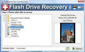 SoftOrbits Flash Drive Recovery Screenshot